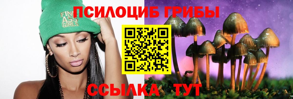 Галлюциногенные грибы Magic Shrooms  Вход с VPN  Галлюциногенные грибы Magic Shrooms  Кузнецк 